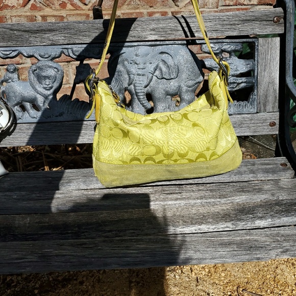 Coach - Picture 6 of 6